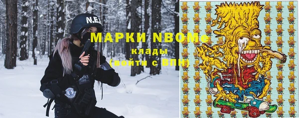 хмурый Алзамай