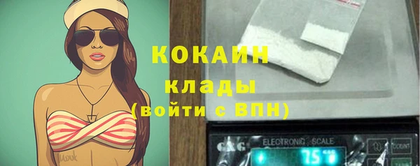 хмурый Алексин