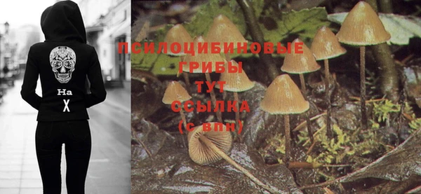 крисы Алексеевка