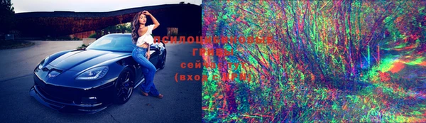 хмурый Алексин