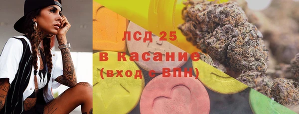хмурый Алексин