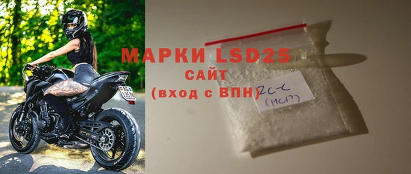 хмурый Алексин