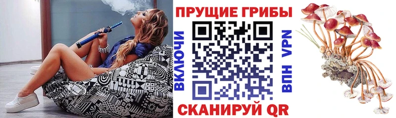 Псилоцибиновые грибы мухоморы  Данков 